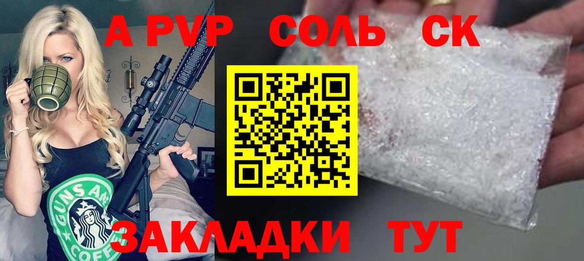 A PVP СК Гатчина