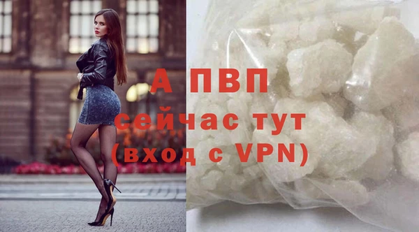 соль ск Белокуриха