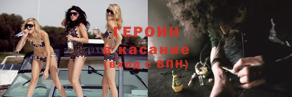 прущие грибы Верхний Тагил