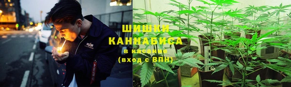 соль ск Белокуриха