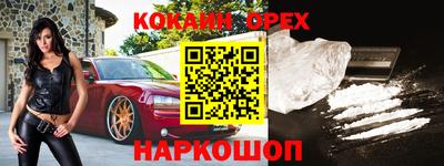 шишки Будённовск