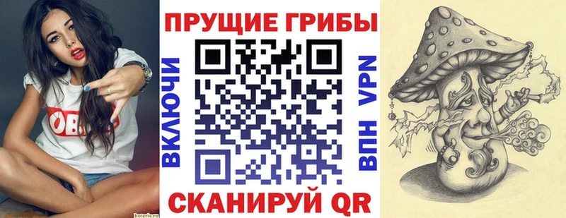 Псилоцибиновые грибы Psilocybe  блэк спрут ссылка  Гатчина  как найти закладки 