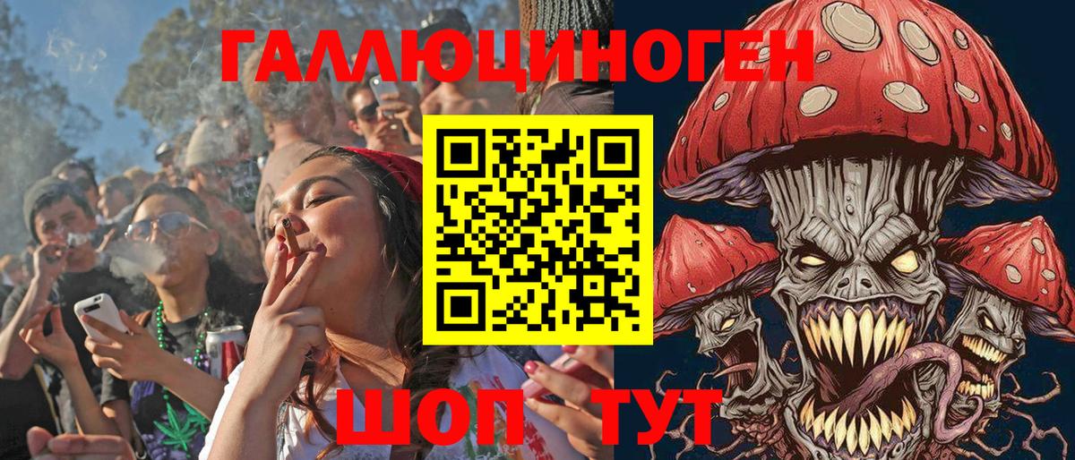 Псилоцибиновые грибы Cubensis Гатчина