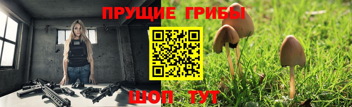 Галлюциногенные грибы MAGIC MUSHROOMS Гатчина