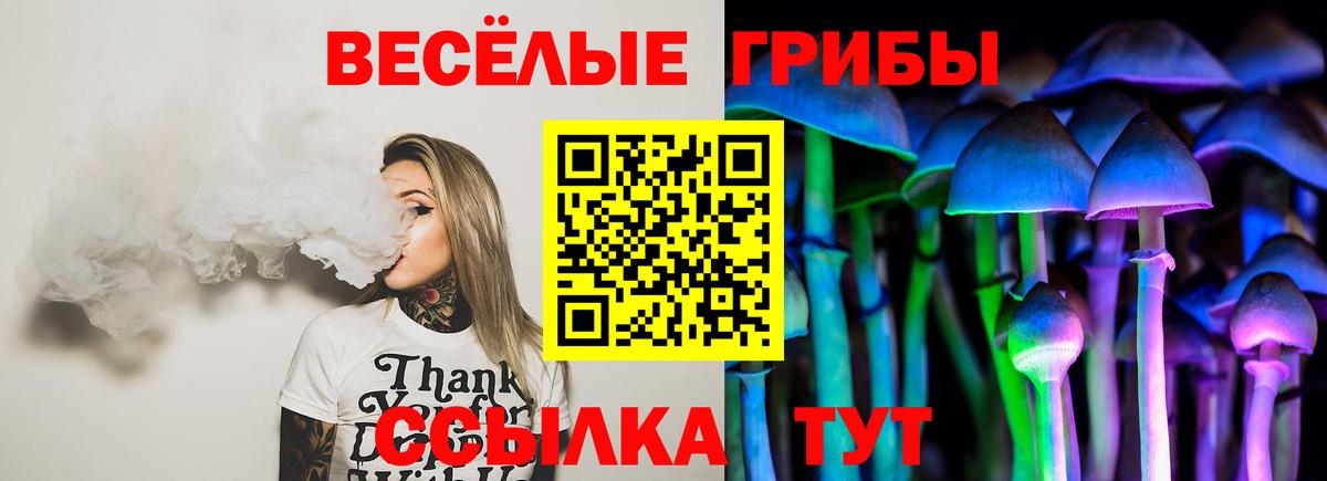 Гатчина  Псилоцибиновые грибы Psilocybe  Вход с VPN 